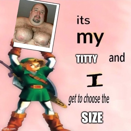 It's my ... and I get to choose the ... | TITTY; SIZE | image tagged in it's my and i get to choose the | made w/ Imgflip meme maker