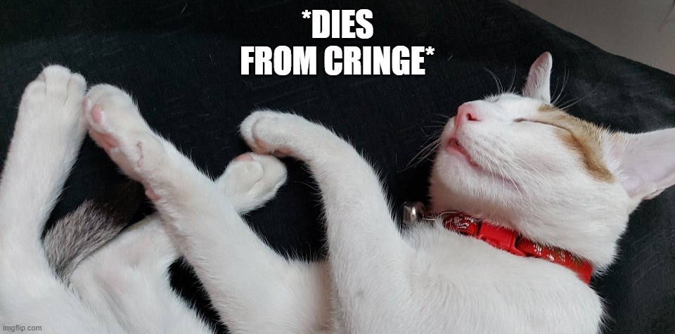 Rip | *DIES FROM CRINGE* | image tagged in cats,dies from cringe,funny,xd,lmao,lol | made w/ Imgflip meme maker