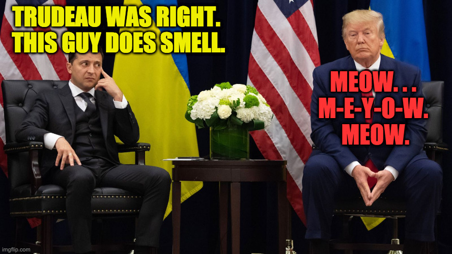 This meme has no caption.  It simply is. | TRUDEAU WAS RIGHT.  THIS GUY DOES SMELL. MEOW. . .
M-E-Y-O-W.  MEOW. | image tagged in zelensky realizes his wallet's gone trump plays innocent,meow,trump smells,zen memes,memes | made w/ Imgflip meme maker