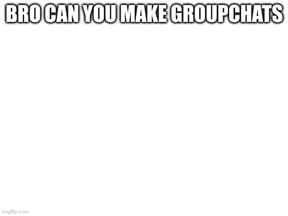 Blank White Template | BRO CAN YOU MAKE GROUPCHATS | image tagged in blank white template | made w/ Imgflip meme maker