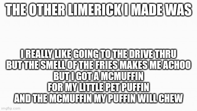 A little less dark lmao | THE OTHER LIMERICK I MADE WAS; I REALLY LIKE GOING TO THE DRIVE THRU
BUT THE SMELL OF THE FRIES MAKES ME ACHOO
BUT I GOT A MCMUFFIN
FOR MY LITTLE PET PUFFIN
AND THE MCMUFFIN MY PUFFIN WILL CHEW | image tagged in white box | made w/ Imgflip meme maker