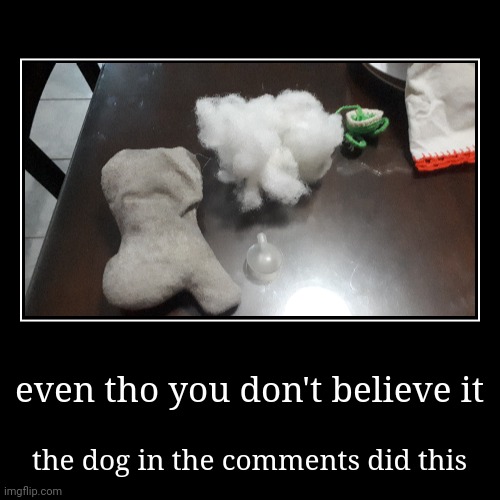 welp | even tho you don't believe it | the dog in the comments did this | image tagged in funny,demotivationals | made w/ Imgflip demotivational maker