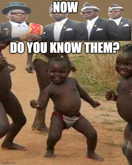 do you know them? | NOW; DO YOU KNOW THEM? | image tagged in memes,third world success kid | made w/ Imgflip meme maker