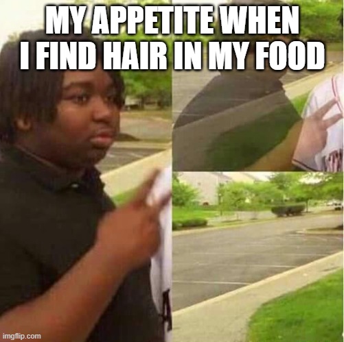*gags* | MY APPETITE WHEN I FIND HAIR IN MY FOOD | image tagged in disappearing | made w/ Imgflip meme maker