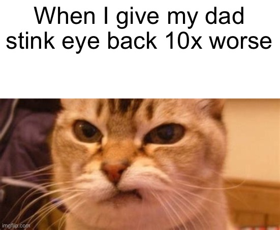 Ugh ! | When I give my dad stink eye back 10x worse | image tagged in fun,memes,mad cat,ffffff,dads,stink eyes | made w/ Imgflip meme maker