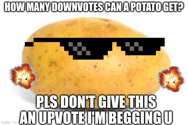 How many downvotes can a potato get | HOW MANY DOWNVOTES CAN A POTATO GET? PLS DON'T GIVE THIS AN UPVOTE I'M BEGGING U | image tagged in potato,lols,meme | made w/ Imgflip meme maker