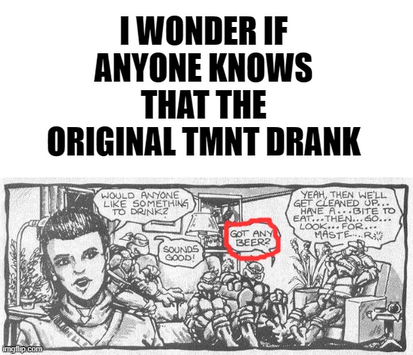 Are "Teenagers" allowed to drink? xD | I WONDER IF ANYONE KNOWS THAT THE ORIGINAL TMNT DRANK | image tagged in teenage mutant ninja turtles,memes,funny,beer,comics/cartoons | made w/ Imgflip meme maker