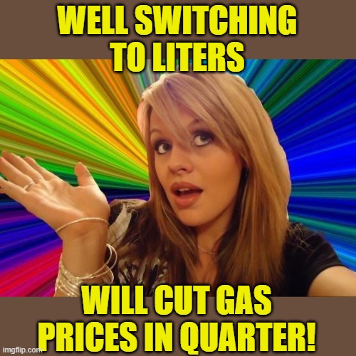 Dumb Blonde Meme | WELL SWITCHING TO LITERS WILL CUT GAS PRICES IN QUARTER! | image tagged in memes,dumb blonde | made w/ Imgflip meme maker