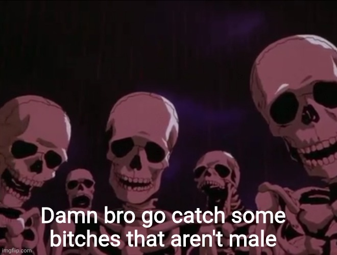 Hater skeletons | Damn bro go catch some bitches that aren't male | image tagged in hater skeletons | made w/ Imgflip meme maker