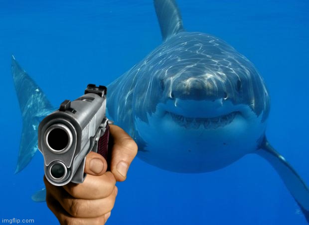 Straight White Shark | image tagged in straight white shark | made w/ Imgflip meme maker