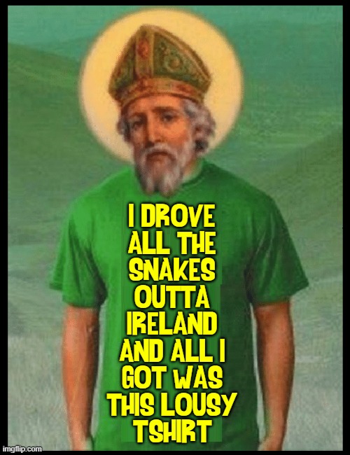 Faith and Begorrah and a Happy St. Paddy's Day! | I DROVE
ALL THE
SNAKES
OUTTA
IRELAND
AND ALL I
GOT WAS
THIS LOUSY
T-SHIRT | image tagged in vince vance,st patrick's day,st patricks day,st paddys day,t-shirt,memes | made w/ Imgflip meme maker