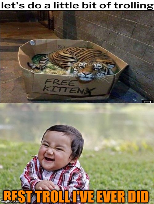 Who will adopt this baby kitten? |  BEST TROLL I'VE EVER DID | image tagged in memes,evil toddler,tiger,free,kitten | made w/ Imgflip meme maker