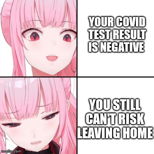 r/TechnicallyTheTruth | YOUR COVID TEST RESULT IS NEGATIVE; YOU STILL CAN'T RISK LEAVING HOME | image tagged in calliope mori | made w/ Imgflip meme maker