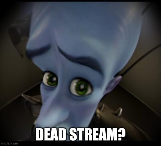 Megamind peeking | DEAD STREAM? | image tagged in no bitches | made w/ Imgflip meme maker