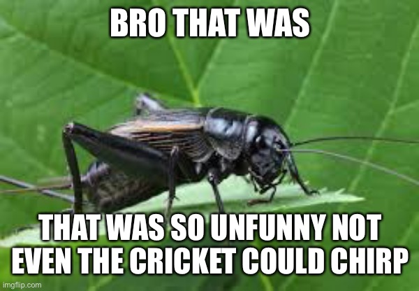 BRO THAT WAS; THAT WAS SO UNFUNNY NOT EVEN THE CRICKET COULD CHIRP | made w/ Imgflip meme maker