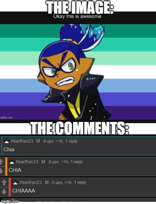 SFG in a nutshell | THE IMAGE:; THE COMMENTS: | image tagged in blank white template | made w/ Imgflip meme maker