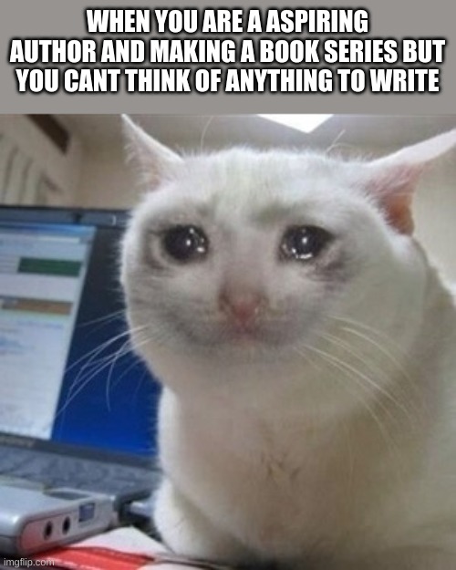 Crying cat | WHEN YOU ARE A ASPIRING AUTHOR AND MAKING A BOOK SERIES BUT YOU CANT THINK OF ANYTHING TO WRITE | image tagged in crying cat | made w/ Imgflip meme maker