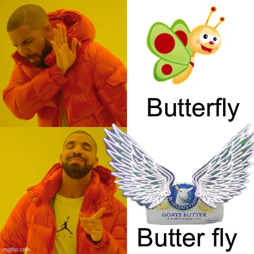 Butterfly | Butterfly; Butter fly | image tagged in memes,funny memes,drake hotline bling | made w/ Imgflip meme maker