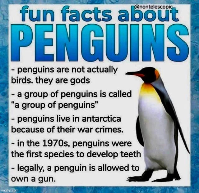 Fun facts about penguins | image tagged in fun facts about penguins | made w/ Imgflip meme maker