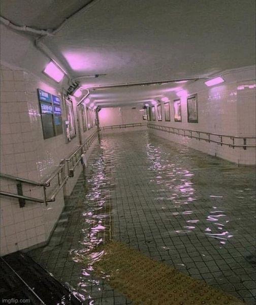 . | image tagged in eerie swimming pool | made w/ Imgflip meme maker