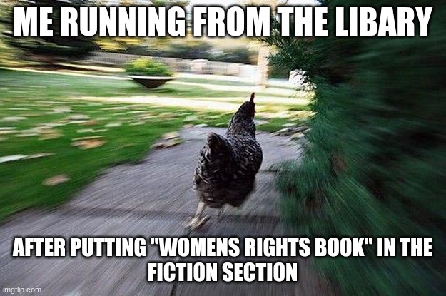 womens rights my azz | ME RUNNING FROM THE LIBARY; AFTER PUTTING "WOMENS RIGHTS BOOK" IN THE
FICTION SECTION | image tagged in chicken running | made w/ Imgflip meme maker