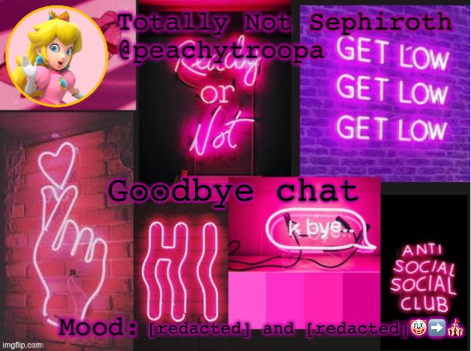 Princess Peach Aesthetic Mood Temp (thx Lily) | Goodbye chat; [redacted] and [redacted]🤡➡️🎪 | image tagged in princess peach aesthetic mood temp thx lily | made w/ Imgflip meme maker