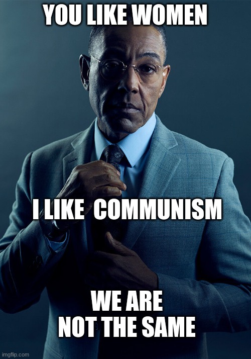 we aint the smae | YOU LIKE WOMEN; I LIKE  COMMUNISM; WE ARE NOT THE SAME | image tagged in gus fring we are not the same | made w/ Imgflip meme maker