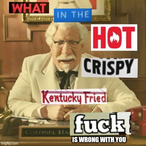 What in the hot crispy kentucky fried frick | IS WRONG WITH YOU | image tagged in what in the hot crispy kentucky fried frick | made w/ Imgflip meme maker