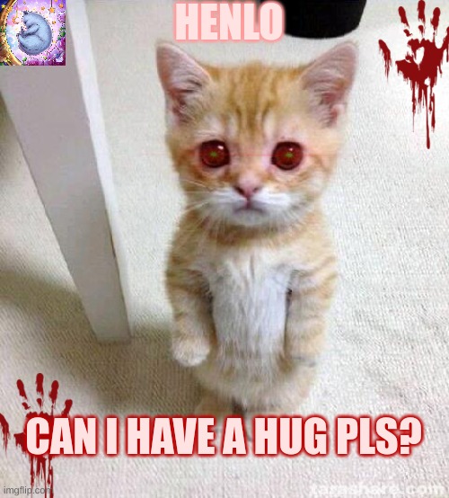 wait.. is that.... blood...? | HENLO; CAN I HAVE A HUG PLS? | image tagged in memes,cute cat | made w/ Imgflip meme maker