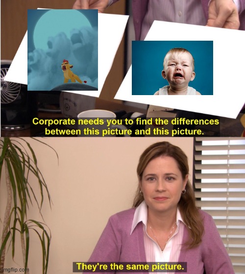 They're The Same Picture | image tagged in memes,they're the same picture,president_joe_biden | made w/ Imgflip meme maker