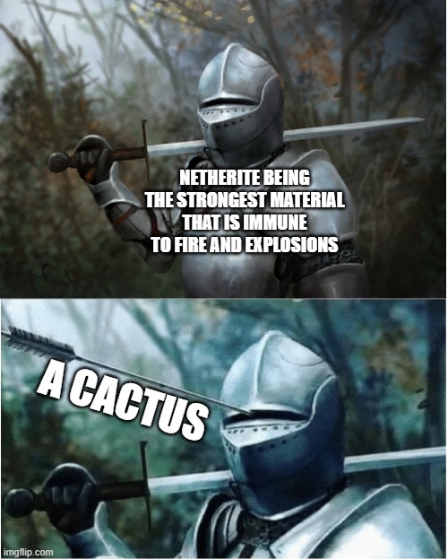 Knight with arrow in helmet | NETHERITE BEING THE STRONGEST MATERIAL THAT IS IMMUNE TO FIRE AND EXPLOSIONS; A CACTUS | image tagged in knight with arrow in helmet,netherite,cactus,who would win,minecraft,oh wow are you actually reading these tags | made w/ Imgflip meme maker
