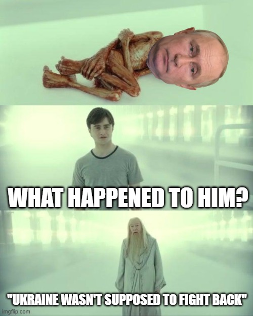 Yes, it was | WHAT HAPPENED TO HIM? "UKRAINE WASN'T SUPPOSED TO FIGHT BACK" | image tagged in dead baby voldemort / what happened to him | made w/ Imgflip meme maker