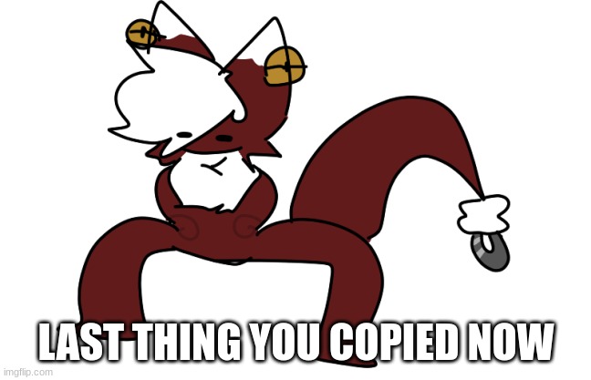 SPZ | LAST THING YOU COPIED NOW | image tagged in spz | made w/ Imgflip meme maker