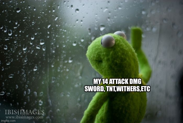 kermit window | MY 14 ATTACK DMG SWORD, TNT,WITHERS,ETC | image tagged in kermit window | made w/ Imgflip meme maker