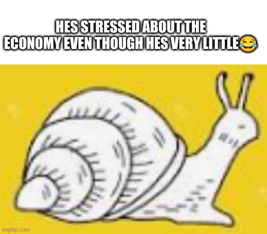 HES STRESSED ABOUT THE ECONOMY EVEN THOUGH HES VERY LITTLE😂 | image tagged in blank white template | made w/ Imgflip meme maker