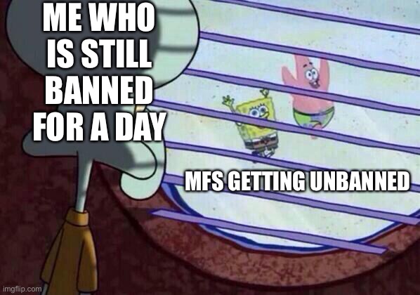 Squidward window | ME WHO IS STILL BANNED FOR A DAY; MFS GETTING UNBANNED | image tagged in squidward window | made w/ Imgflip meme maker