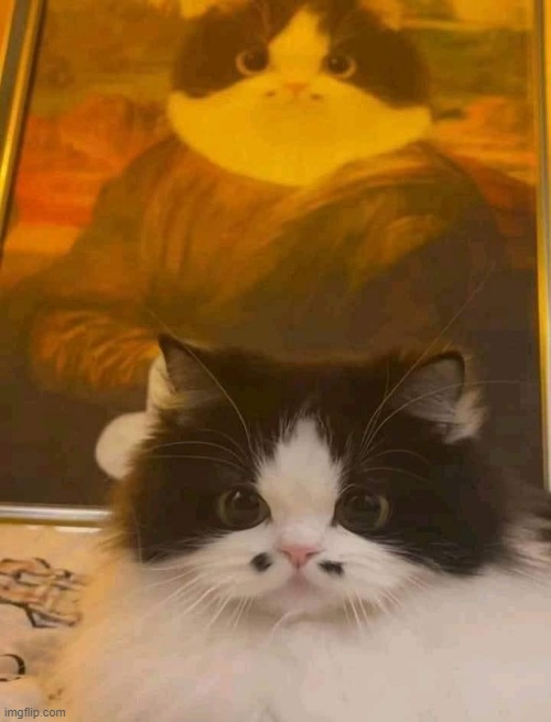 i present to you kitty mclitter the 2nd and the painting is kitty mclitter the 1st | image tagged in darth maul | made w/ Imgflip meme maker