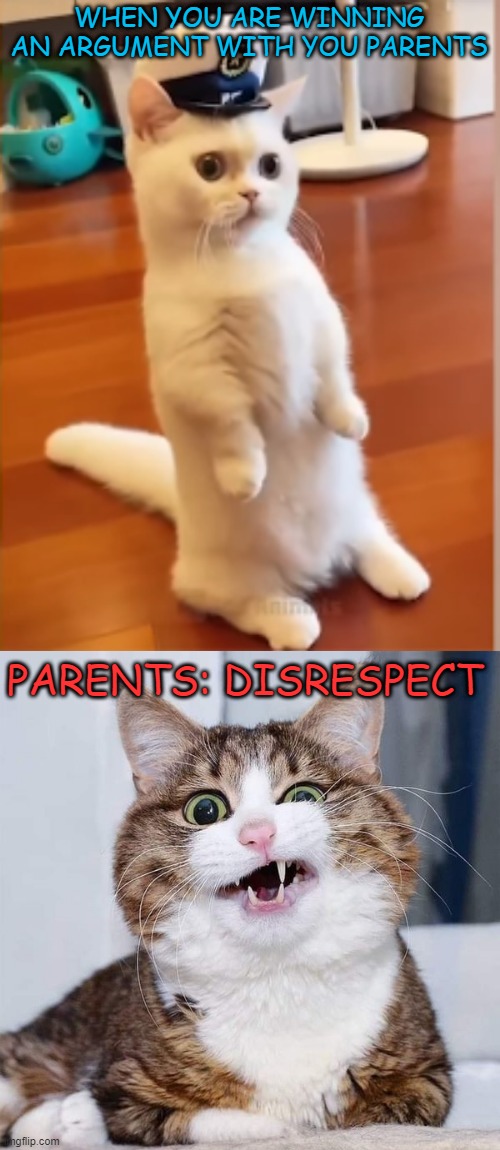 eeeeeeeeeuuuuuuuughhh |  WHEN YOU ARE WINNING AN ARGUMENT WITH YOU PARENTS; PARENTS: DISRESPECT | image tagged in commander,confused cat | made w/ Imgflip meme maker