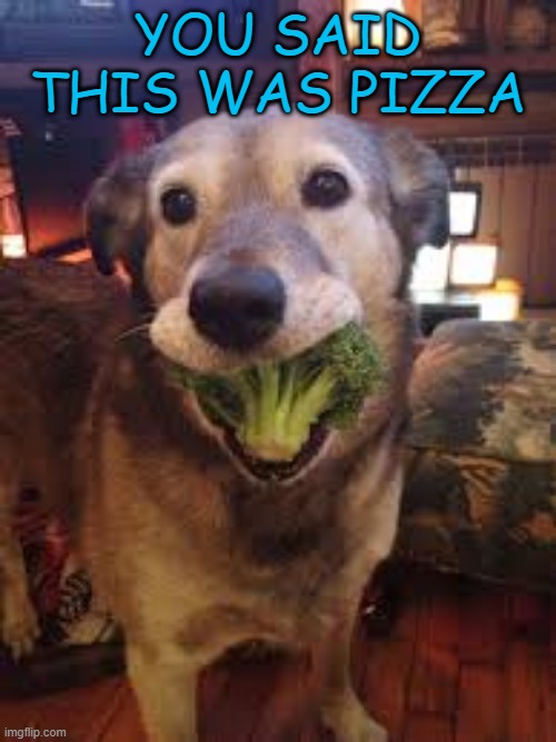 parents when the kid dont want to eat vegetables.... what the | YOU SAID THIS WAS PIZZA | image tagged in woof | made w/ Imgflip meme maker