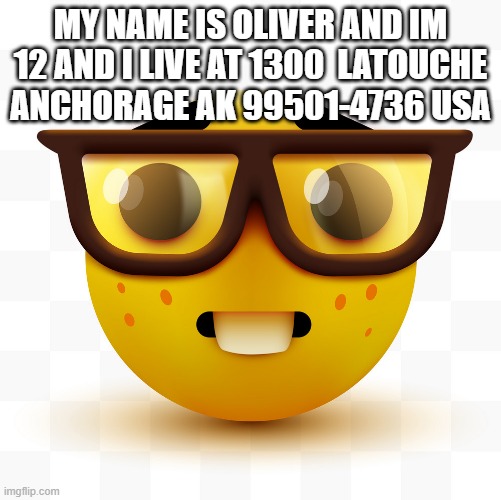 Nerd emoji | MY NAME IS OLIVER AND IM 12 AND I LIVE AT 1300  LATOUCHE ANCHORAGE AK 99501-4736 USA | image tagged in nerd emoji | made w/ Imgflip meme maker
