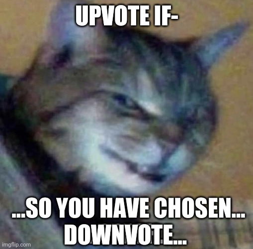 so you have chosen death | UPVOTE IF- DOWNVOTE... | image tagged in so you have chosen death | made w/ Imgflip meme maker