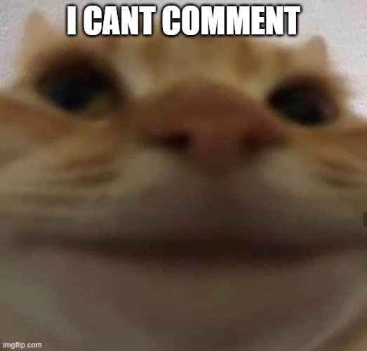 :/ | I CANT COMMENT | image tagged in awkward cat | made w/ Imgflip meme maker