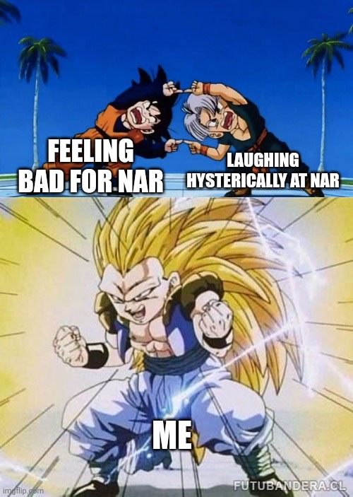 DBZ FUSION | LAUGHING HYSTERICALLY AT NAR; FEELING BAD FOR NAR; ME | image tagged in dbz fusion | made w/ Imgflip meme maker