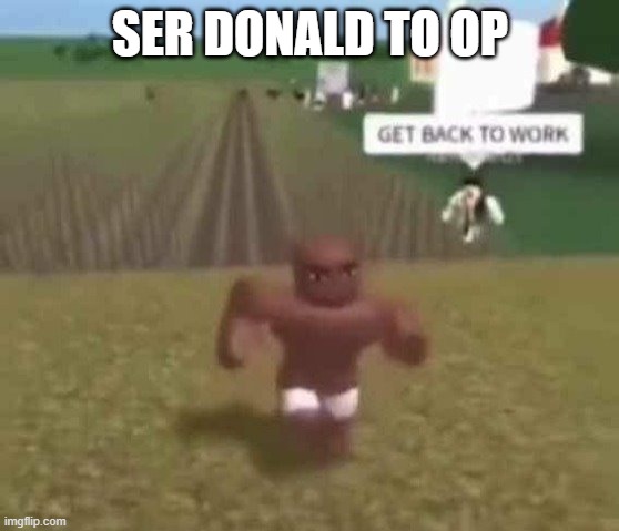 Roblox Slave Work | SER DONALD TO OP | image tagged in roblox slave work | made w/ Imgflip meme maker