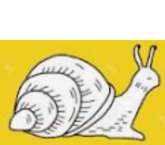 snail doodle Blank Meme Template