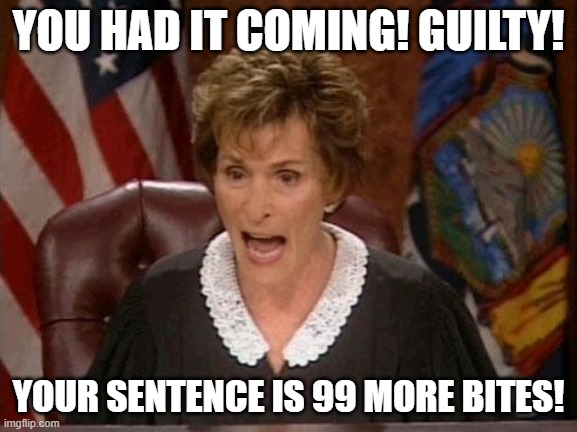 Judge Judy | YOU HAD IT COMING! GUILTY! YOUR SENTENCE IS 99 MORE BITES! | image tagged in judge judy | made w/ Imgflip meme maker