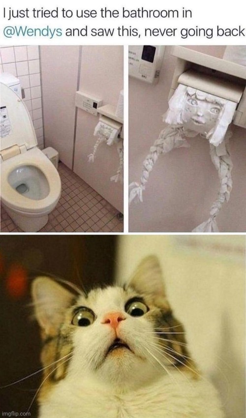 Wendys batrooms' | image tagged in memes,scared cat,funny,cats,wendy's,bathroom | made w/ Imgflip meme maker