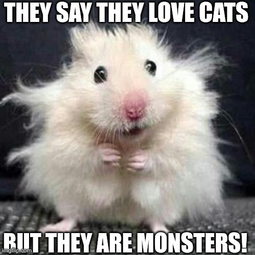 Stressed Mouse | THEY SAY THEY LOVE CATS BUT THEY ARE MONSTERS! | image tagged in stressed mouse | made w/ Imgflip meme maker
