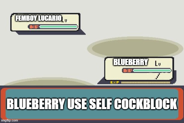 Pokemon Battle | FEMBOY LUCARIO BLUEBERRY BLUEBERRY USE SELF COCKBLOCK | image tagged in pokemon battle | made w/ Imgflip meme maker