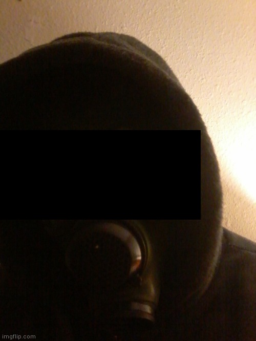 This is the closest to a face reveal I will ever do | made w/ Imgflip meme maker